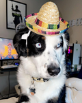 Eastonbtw Community Group