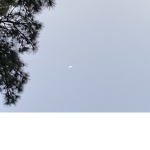 Chase For The Stars