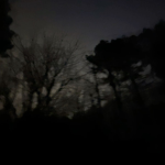 nagomii