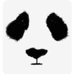 Chubby panda