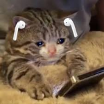 CAT GAEMS