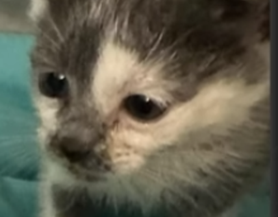 Great Citadel of Difficulty Chart Hell screenshot 1