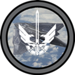 《 Naval Aviation Force 》