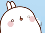 *Bunny_squad*