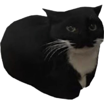Maxwell the cat Roblox decal