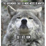 Wolf pack of ANYTHING