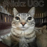#Nickz UGC