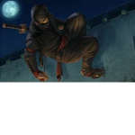 pla_NinjaWarrior