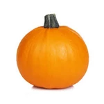 The halloween bundle! (LIMITED)