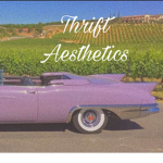 Thrift Aesthet1cs