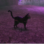 #KiiKii