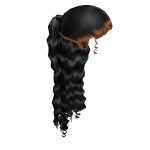 𝓖 Black Half Up Half Down Slicked Back Ponytail