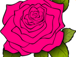 ~ Rose’s Flowers ~