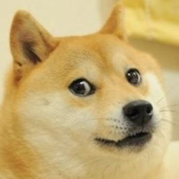 Doge HQ (READ DESC)