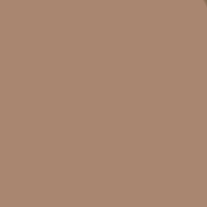 Pastel Tortilla Brown Roblox decal