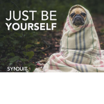 The Pug In A Rug
