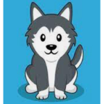 Super husky group