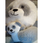 Teddy cool group