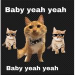 Baby yeah yeah