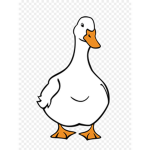 Angle Duck Studio