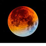 [LL] Lunar Legion