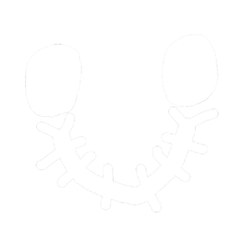 cool obby