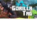 GorillaTag VR