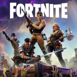 Fortnite group great for player