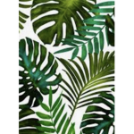 Tropical Army!|ᴛᴍ