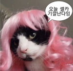 인생은 쌈a뽕하게