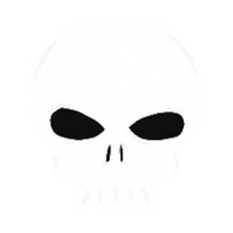 STRIKEZONE [RAID]