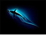 Black Shark