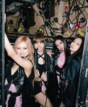 Black pink group Love