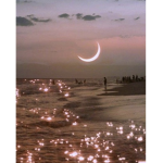 The Moonlight Cafe ;)