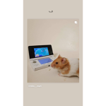 Hamsters United!!!