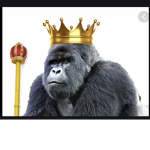 |gorillas united|