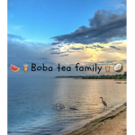 ~The Boba tea family~