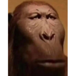 |§| ARMY OF MONKE |§|
