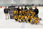 the winning bears