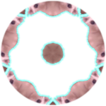 Kaleidoscope Bingus
