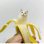 banana kingdom will rise