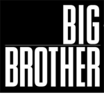 BIG BROTHER THE GAME