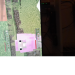Free 50 bobux
