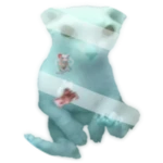Glassgus