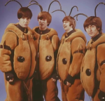 The fab four fan club