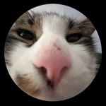 Merlin Macak GRUPA Group Thumbnail