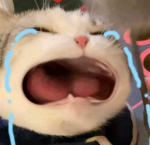 LittleFr1endsss