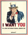 International bobux bo