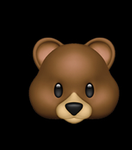 Bear fan group!!!