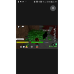 roblox_vannerna